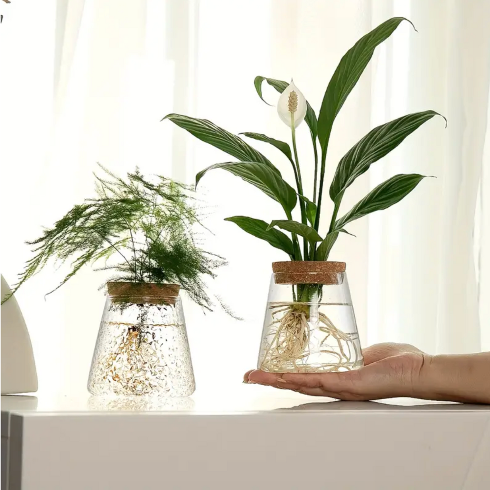 Verdant Haven Hydroponic Garden Glass Planter