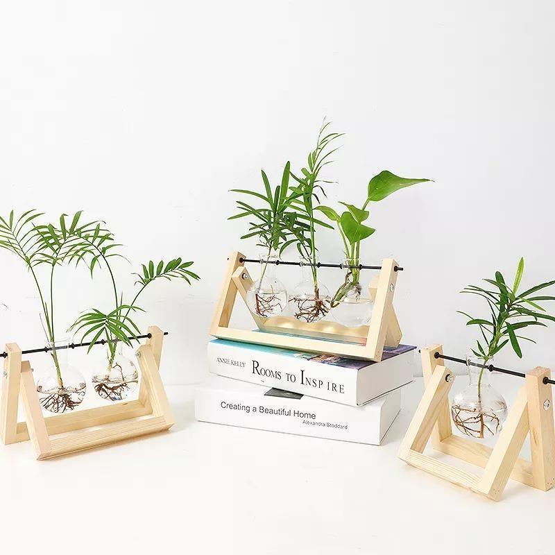 Artisan Glass Plant Propagation Vessel with Rustic A-Frame Stand