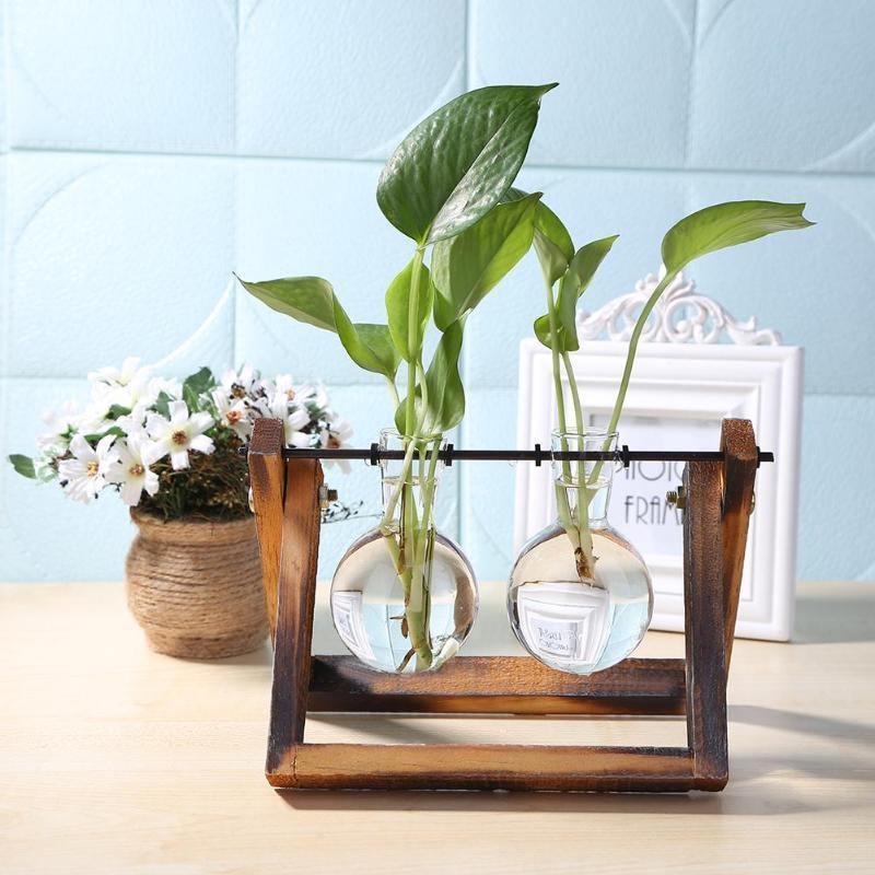 Artisan Glass Plant Propagation Vessel with Rustic A-Frame Stand