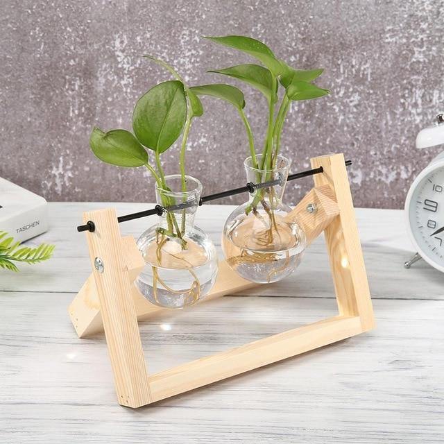 Artisan Glass Plant Propagation Vessel with Rustic A-Frame Stand