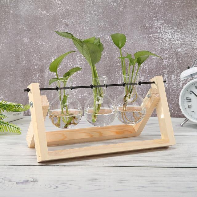 Artisan Glass Plant Propagation Vessel with Rustic A-Frame Stand