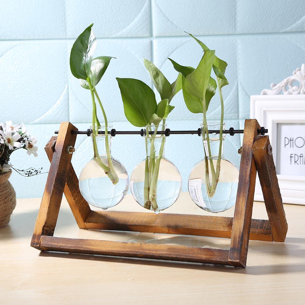 Artisan Glass Plant Propagation Vessel with Rustic A-Frame Stand