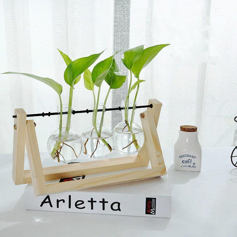 Artisan Glass Plant Propagation Vessel with Rustic A-Frame Stand