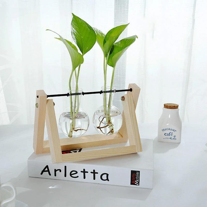 Artisan Glass Plant Propagation Vessel with Rustic A-Frame Stand