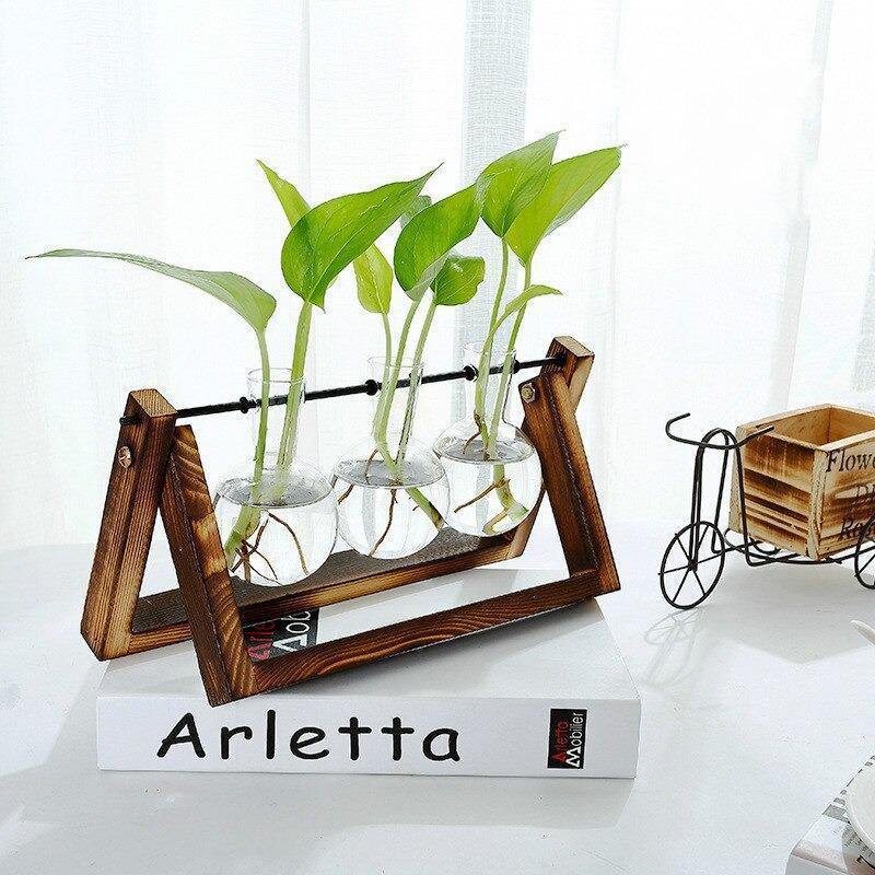 Artisan Glass Plant Propagation Vessel with Rustic A-Frame Stand